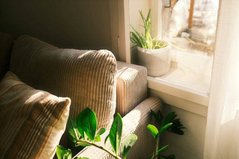 11 Sustainable Home Brands for a Greener Living Space