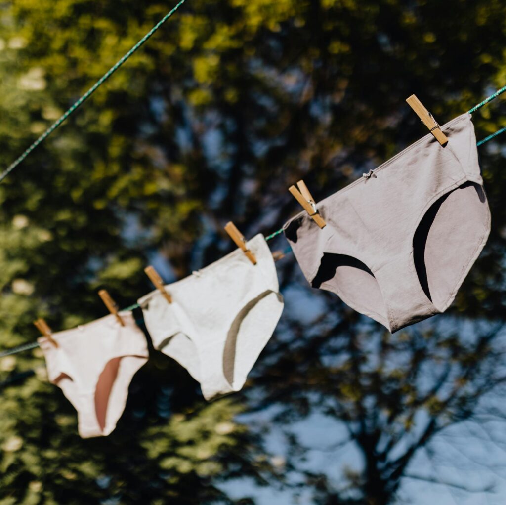 From below of underpants with clothespins hanging on rope opposite green branches of tree on sunny summer day