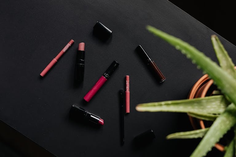 Overhead view of an assortment of lipsticks and makeup products complemented by an aloe plant, on a black background.