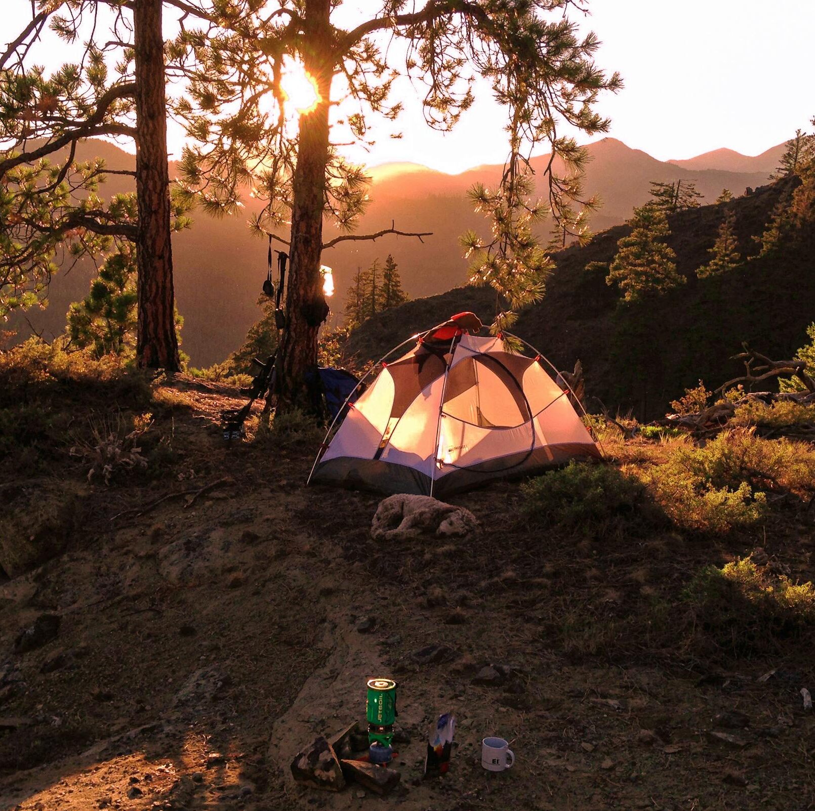 Tent nestled in forested mountains at sunrise, capturing the serene beauty of camping outdoors.