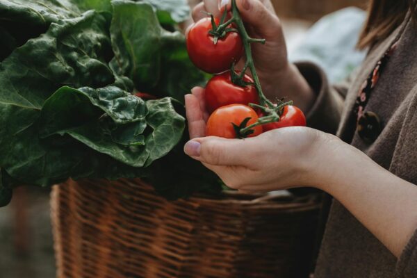 A woman holds ripe tomatoes with leafy greens in a wicker basket at a market.