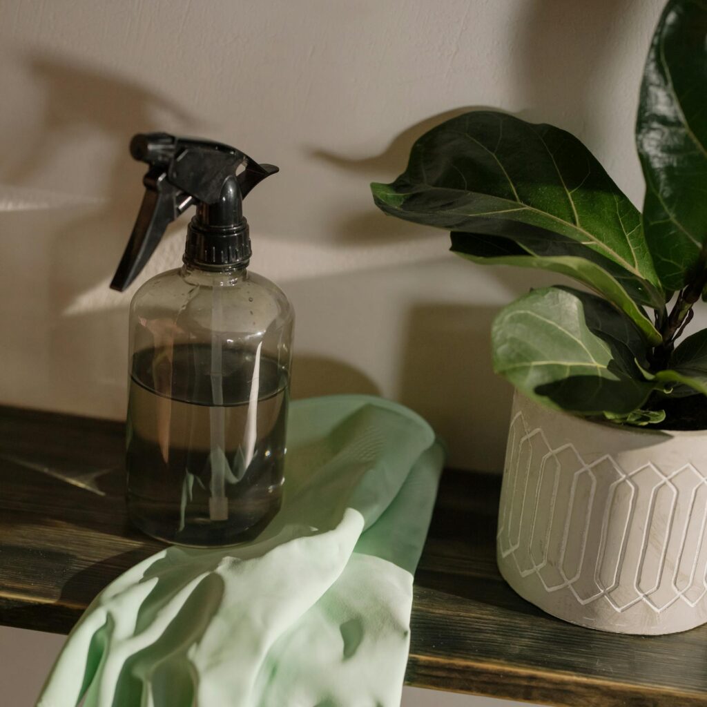 A stylish cleaning setup featuring green gloves, a spray bottle, and a potted plant.