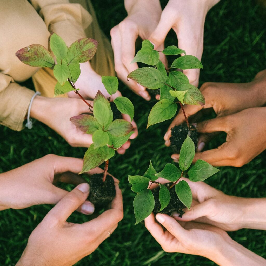 Group of diverse people planting tree saplings together, symbolizing sustainability and teamwork.
