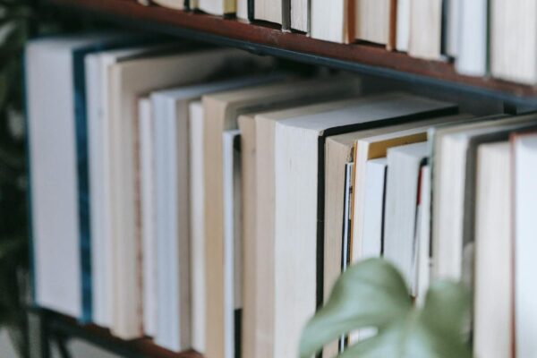 Neatly organized bookshelf with assorted books and green monstera plant, creating a cozy reading nook.