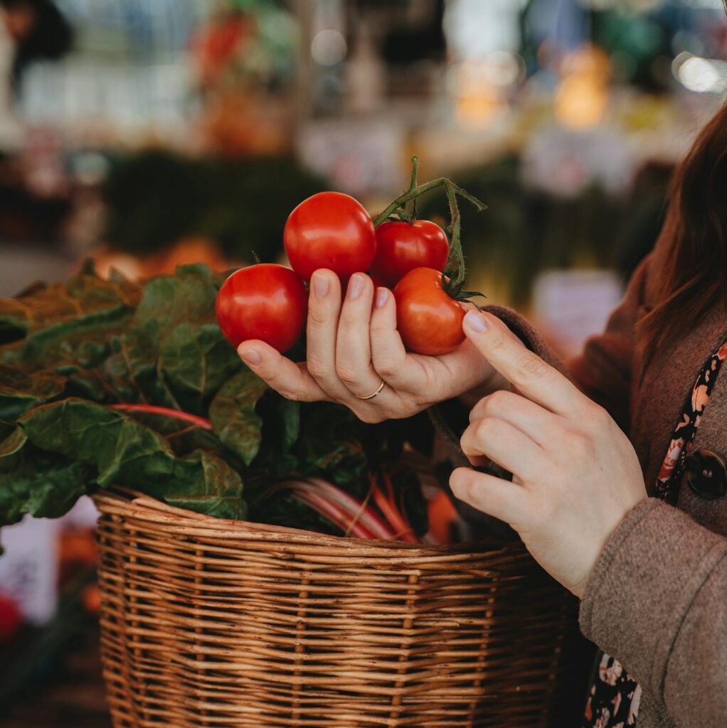 A woman selecting fresh tomatoes at an outdoor market in Erfurt, Germany.