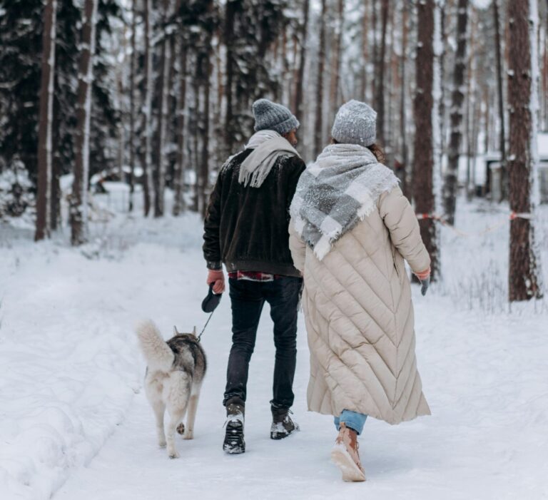 Stay Warm, Stay Kind: Vegan & Eco-Friendly Winter Coats for Cold Weather Adventures