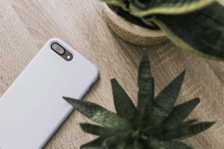 A minimalist flat lay featuring a smartphone and succulents on a wooden desk, perfect for tech and nature themes.