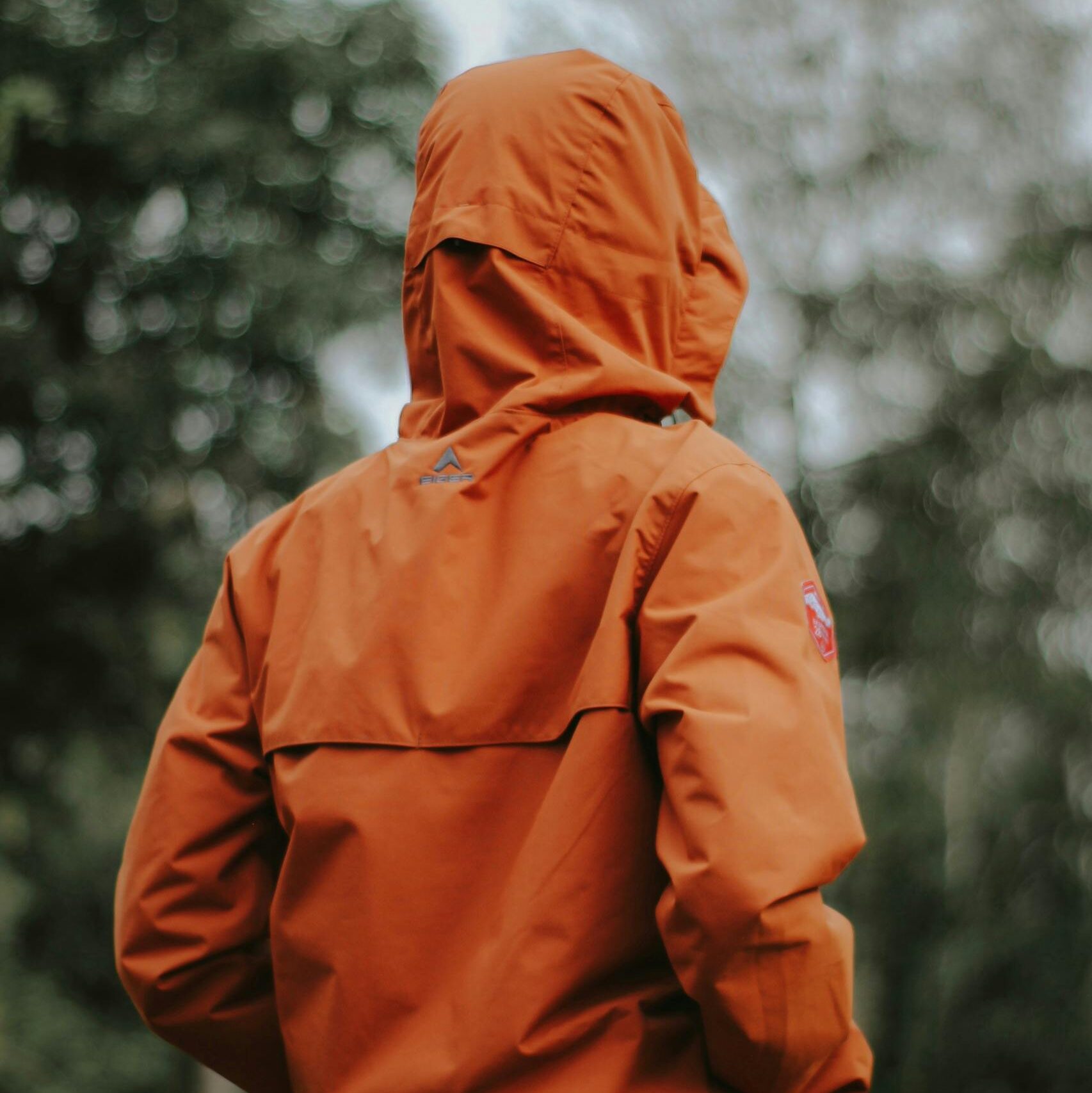 Person in orange jacket exploring nature, perfect for outdoor and hiking themes.