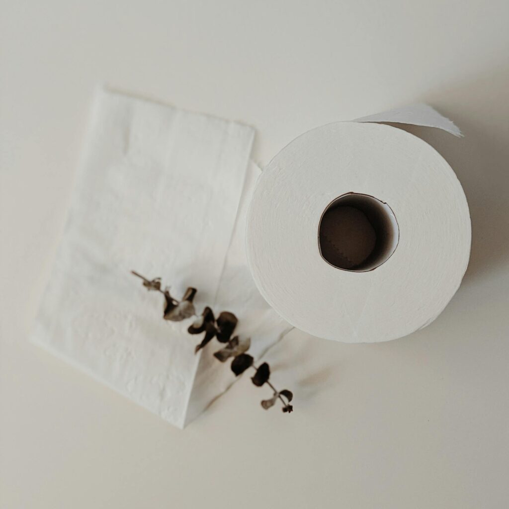 A clean and minimalist still life featuring a roll of toilet paper with eucalyptus leaves on a white background.