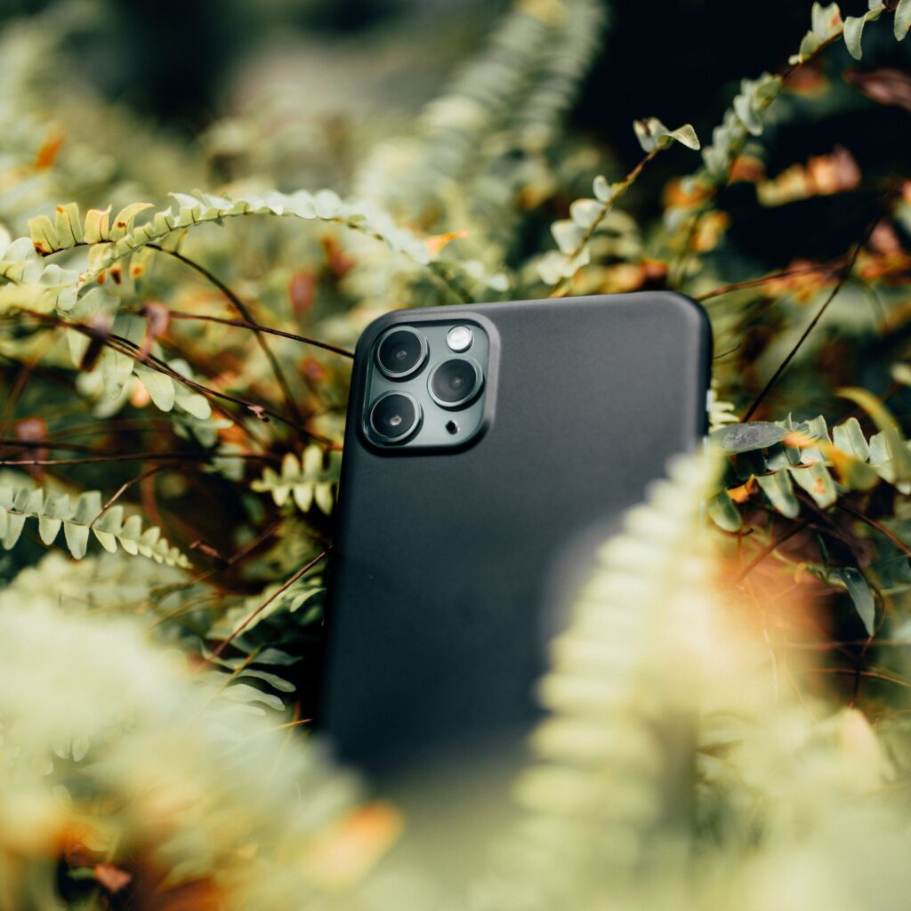 Close-up of a smartphone nestled in ferns, showcasing modern technology in an outdoor setting.