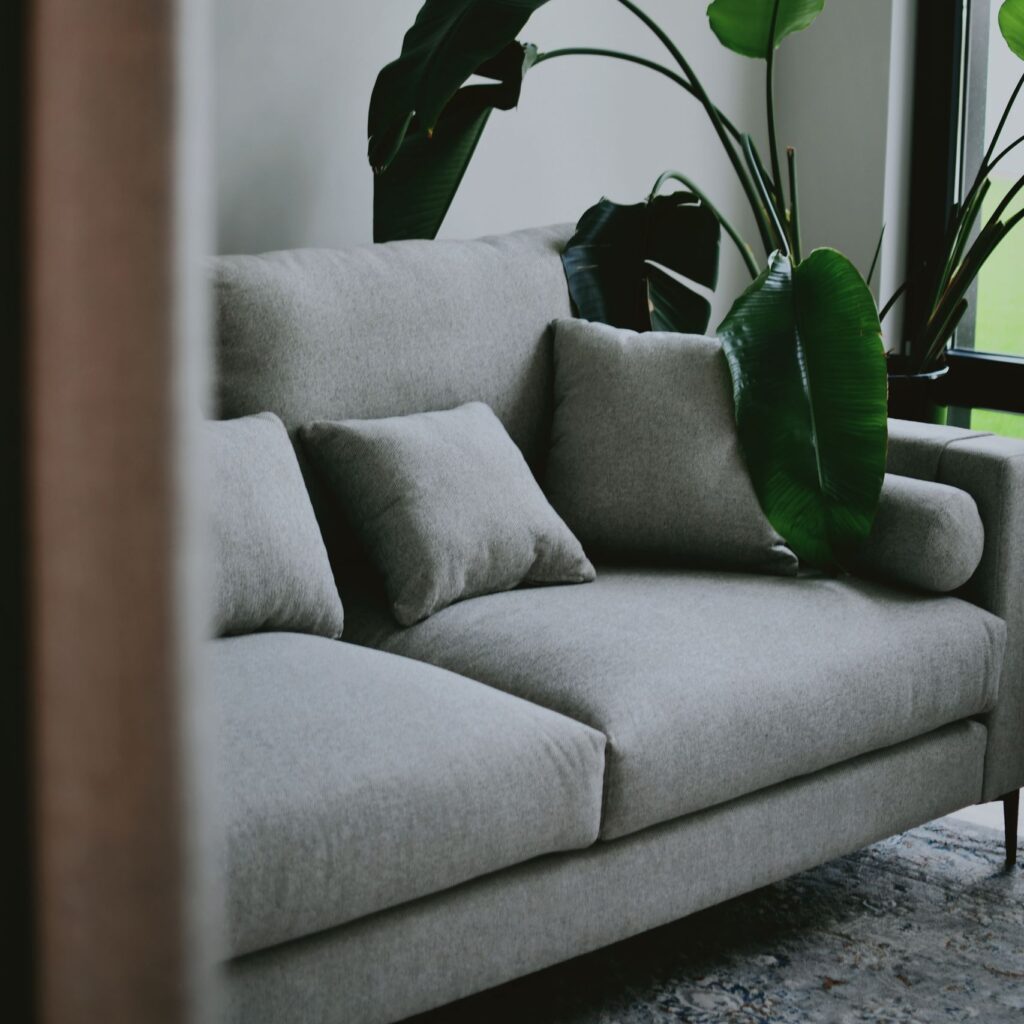 Modern living room featuring a comfortable gray sofa and lush green plants by the window.