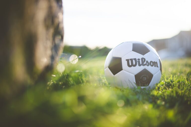 A close-up image of a Wilson soccer ball on a sunlit grassy field with bokeh effect.