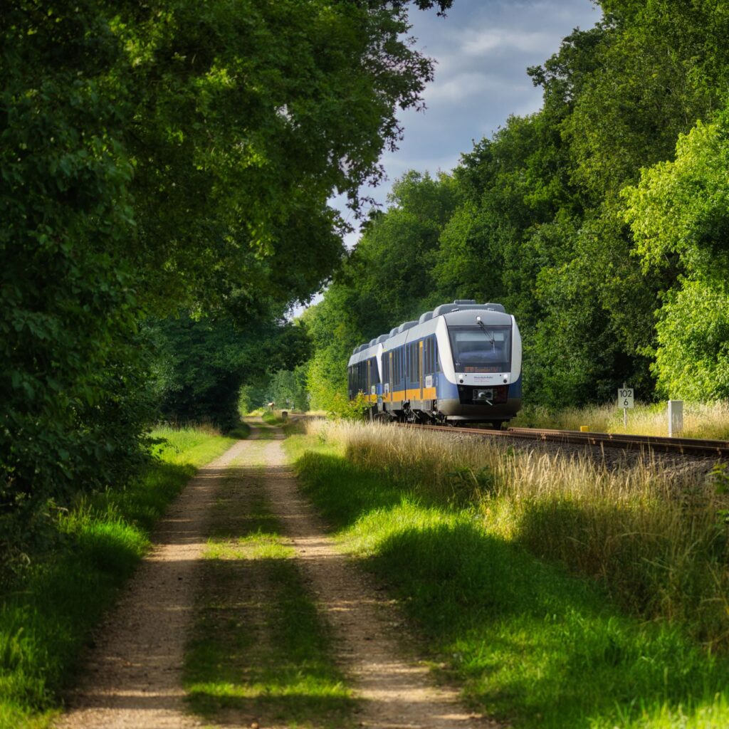 A sleek passenger train travels through a vibrant forest landscape on a sunny day.