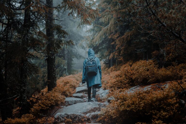 A person hikes through a misty forest path surrounded by autumn foliage.